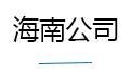 海南公司