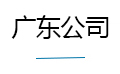 广东公司